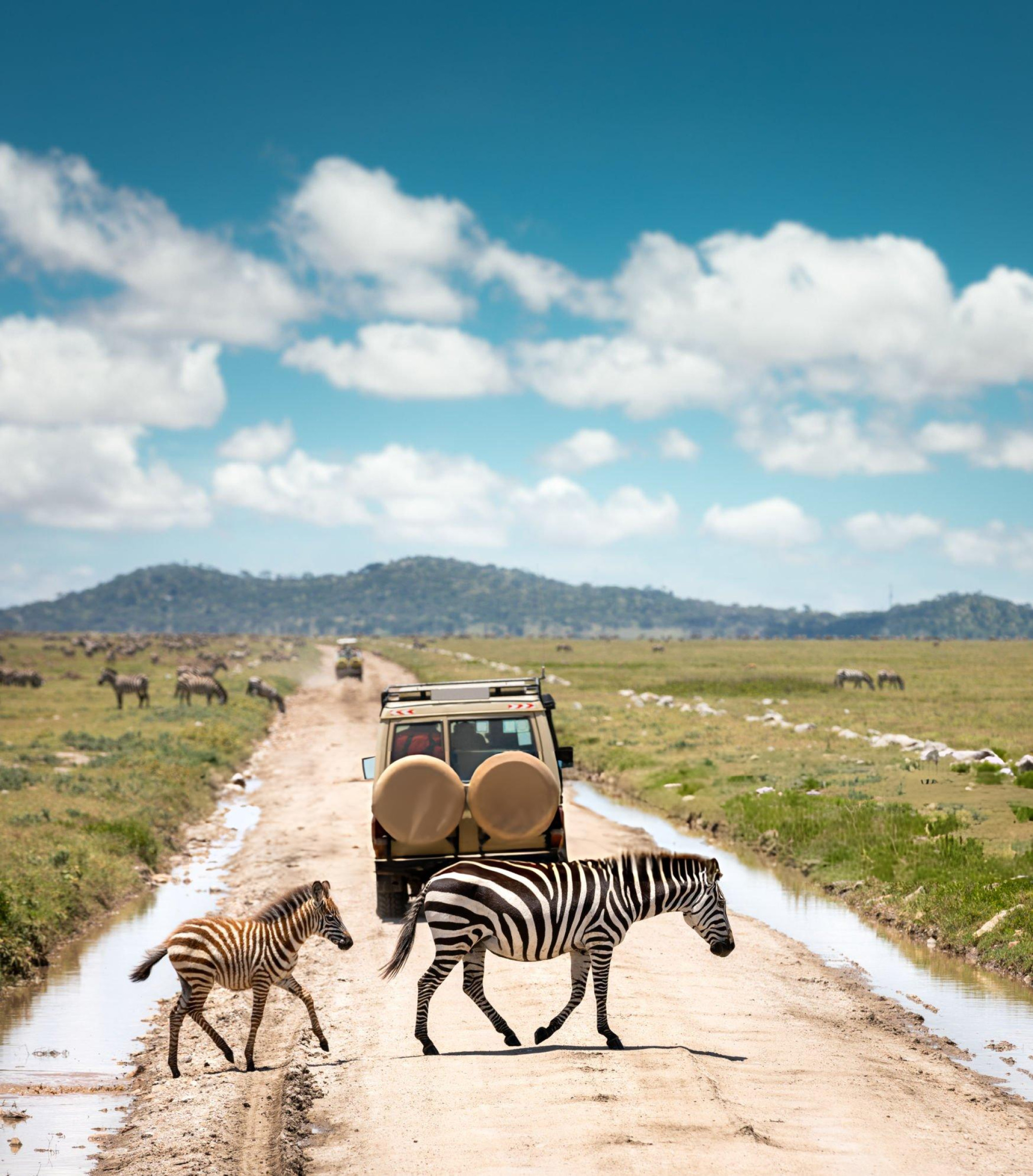 Monnas Travel About Image